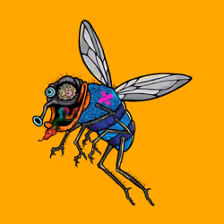 Funky Fly #4495
