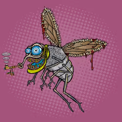Funky Fly #5946