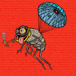 Funky Fly #2246