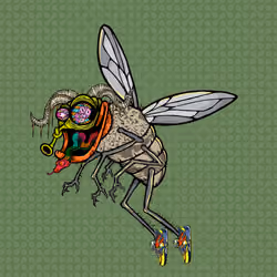 Funky Fly #2425