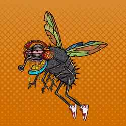 Funky Fly #4400