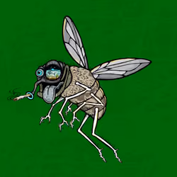 Funky Fly #2827