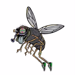 Funky Fly #7161