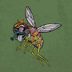 Funky Fly #1381