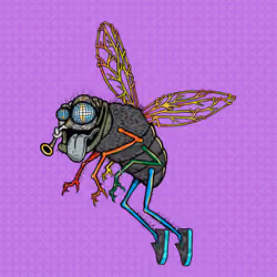 Funky Fly #3208