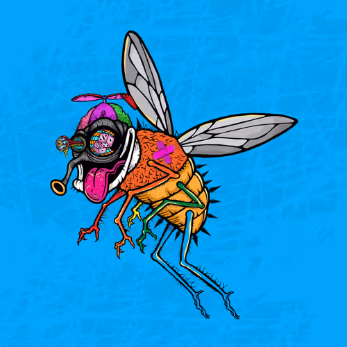 Official Funky Flies