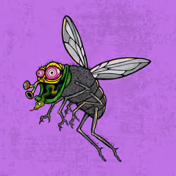 Funky Fly #2161