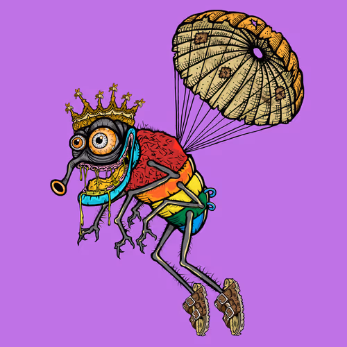 Official Funky Flies