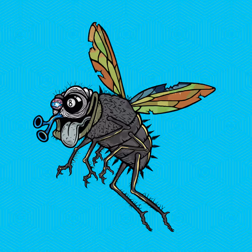 Official Funky Flies