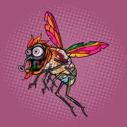 Funky Fly #5427