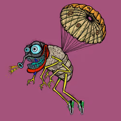 Funky Fly #4533