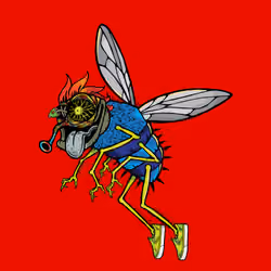 Funky Fly #856