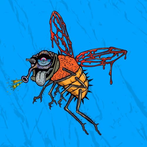 Official Funky Flies