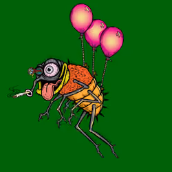 Funky Fly #3814