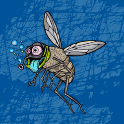 Funky Fly #1243