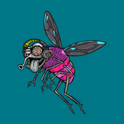 Funky Fly #1584