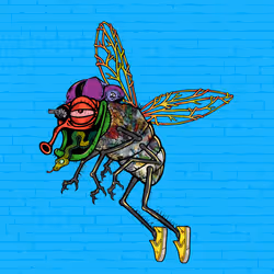 Funky Fly #3292