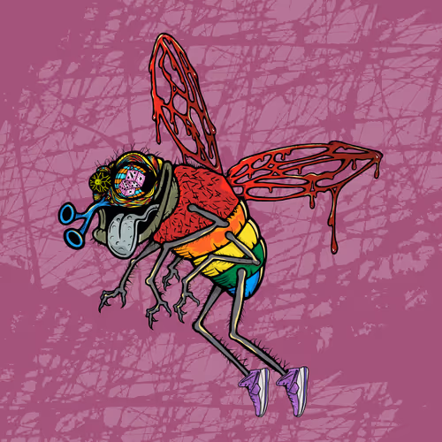Official Funky Flies