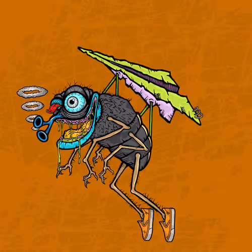 Official Funky Flies