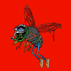 Funky Fly #4914