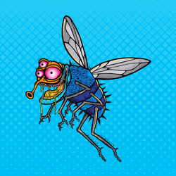 Funky Fly #161