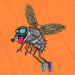 Funky Fly #5107