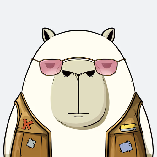 Kappynft