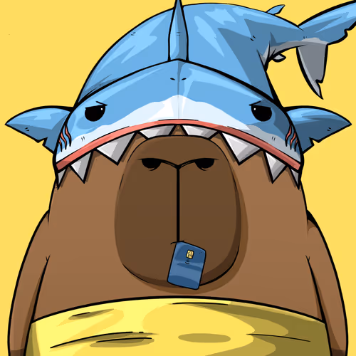 Kappynft