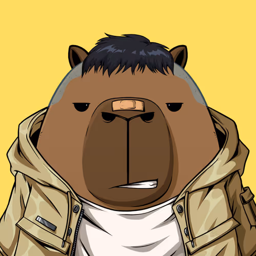 Kappynft