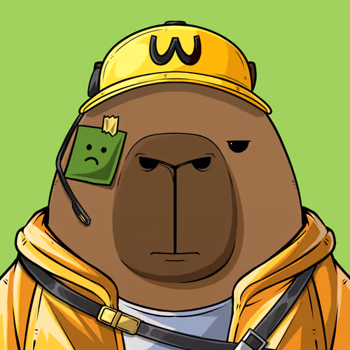 Kappynft