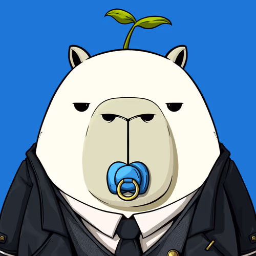 Kappynft
