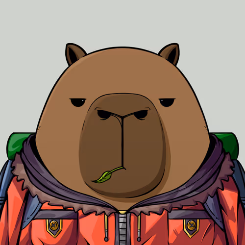 Kappynft