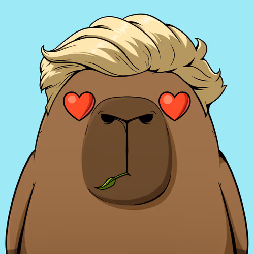 Kappynft