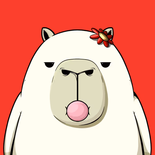 Kappynft