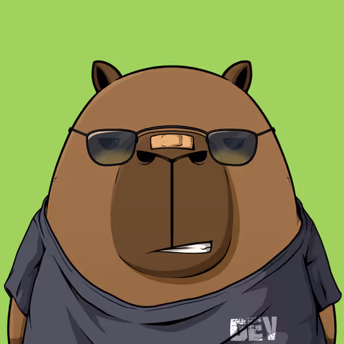 Kappynft