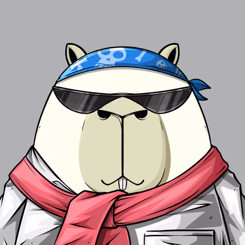Kappynft