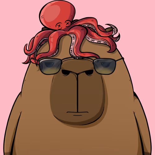 Kappynft