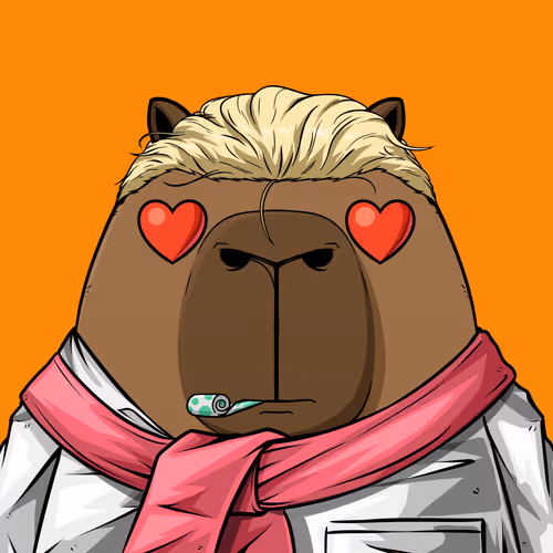 Kappynft