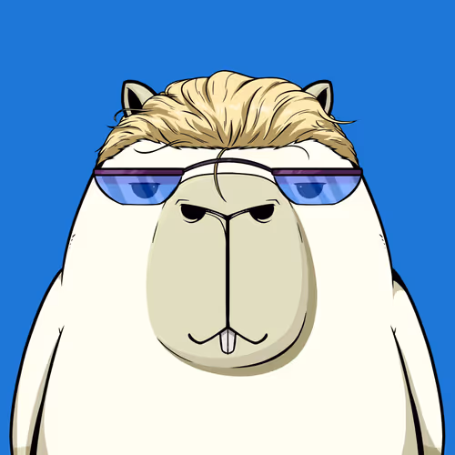 Kappynft
