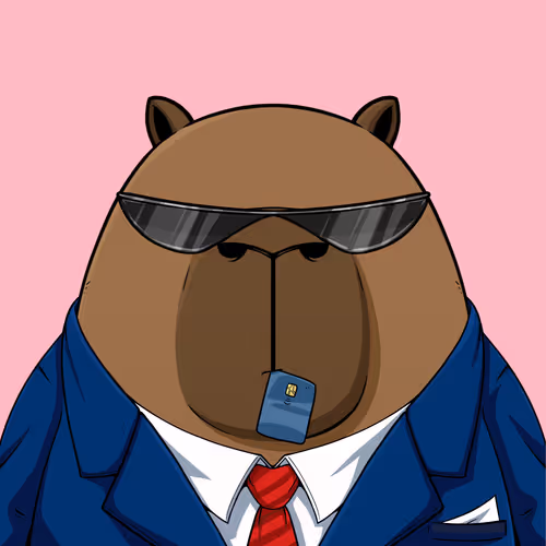 Kappynft