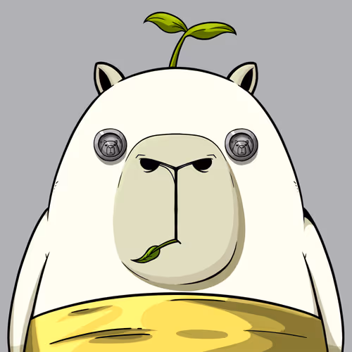 Kappynft
