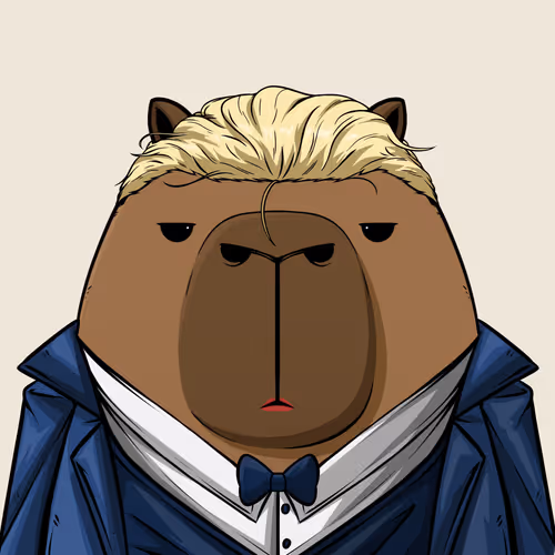 Kappynft