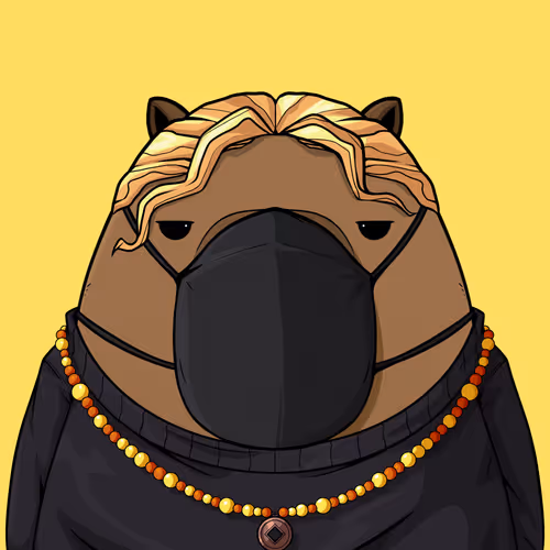 Kappynft