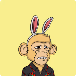 5558