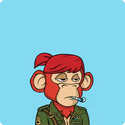 Yung Ape #2040