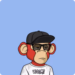 Yung Ape #5381