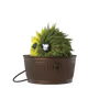 733