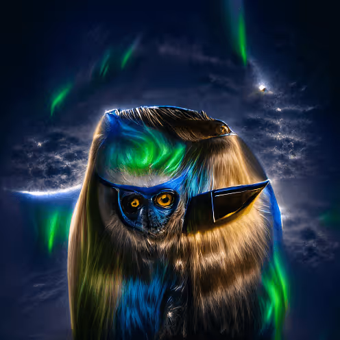 Ai Nightbirds Project X