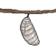 2827