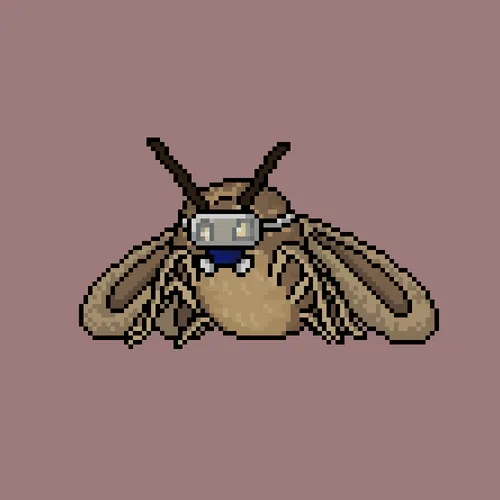 Mothz Io